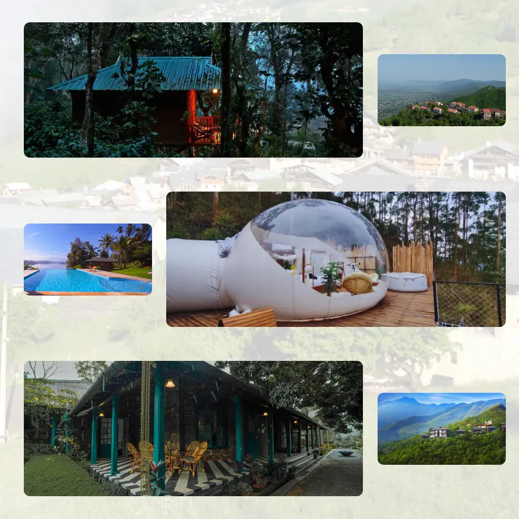 Things to Do in Wayanad (Beyond Sightseeing)