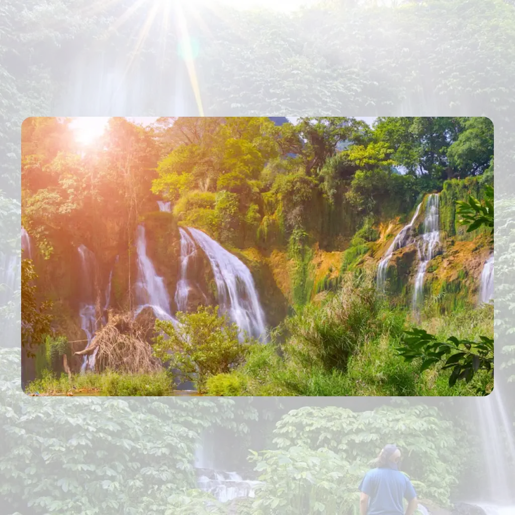 Best Time to Visit Wayanad (Weather + Crowd Guide)