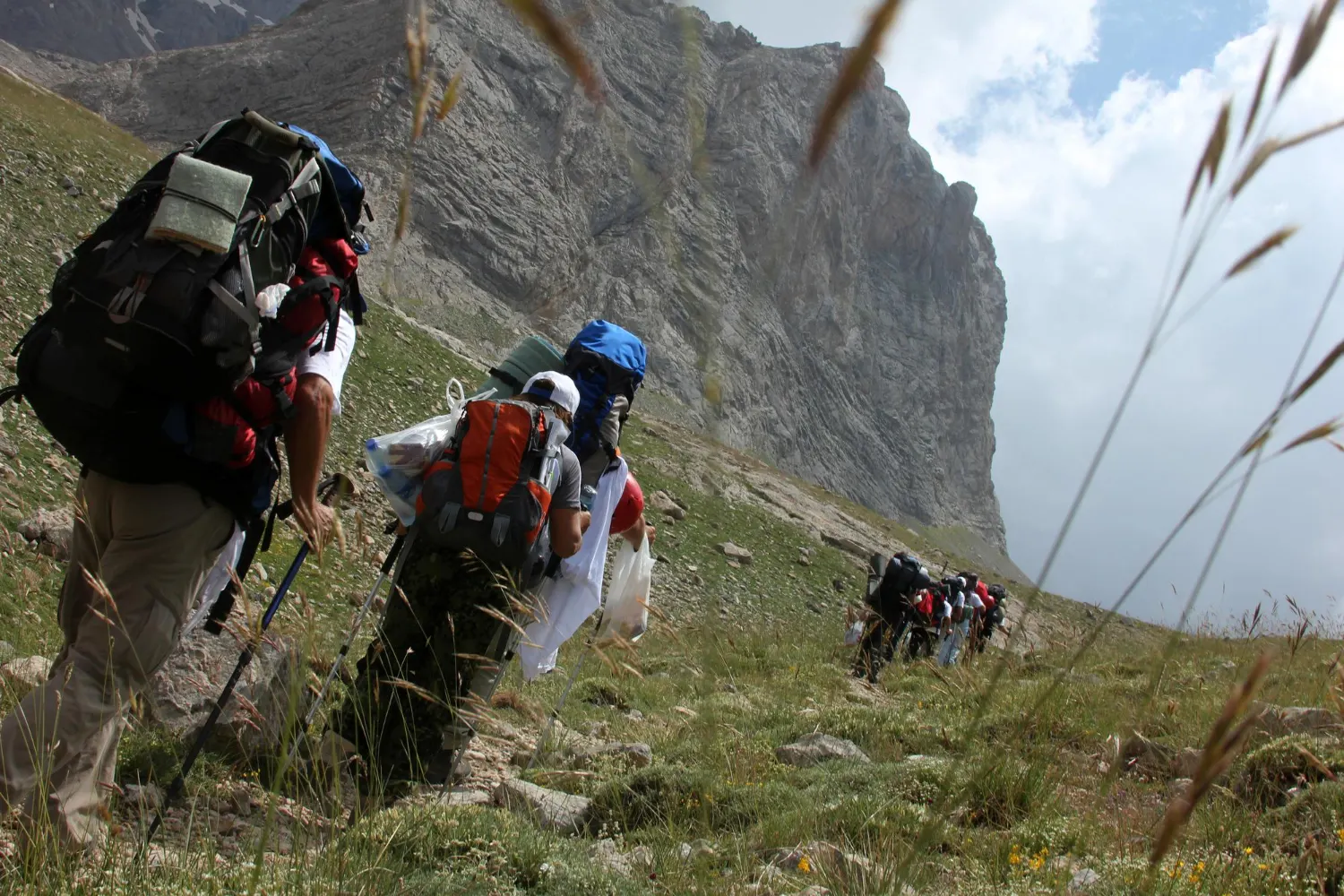 Jibhi Treks and Outdoor Experiences