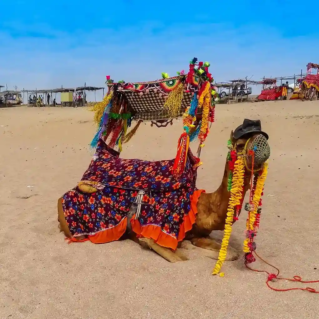 Kutch Rann Utsav Guide (Festival Explained)_11zon