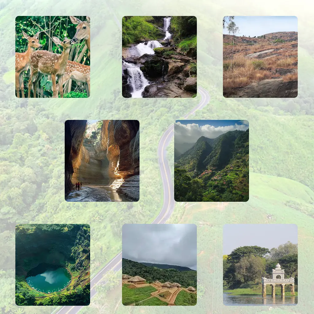 Places to Visit in Wayanad in 3 Days (Relaxed Itinerary)