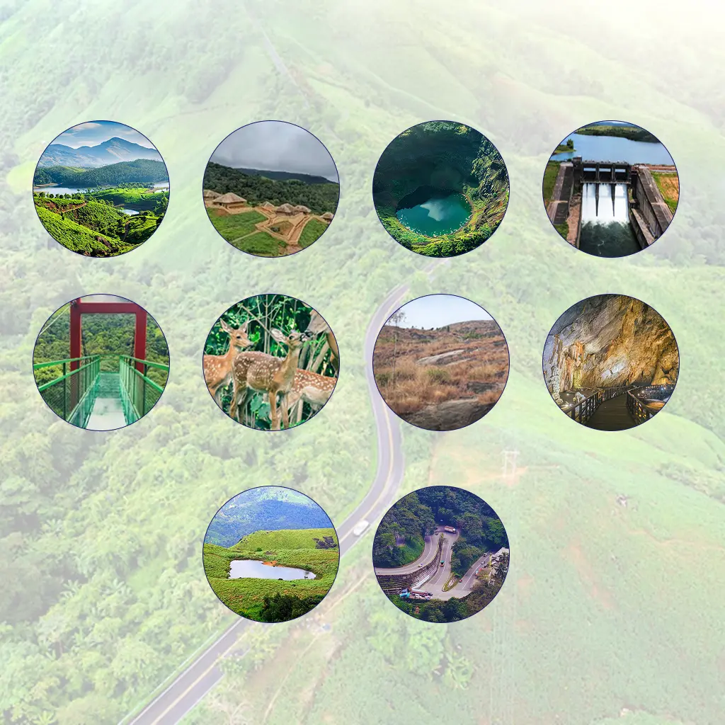 Top 10 Places to Visit in Wayanad (Quick List)