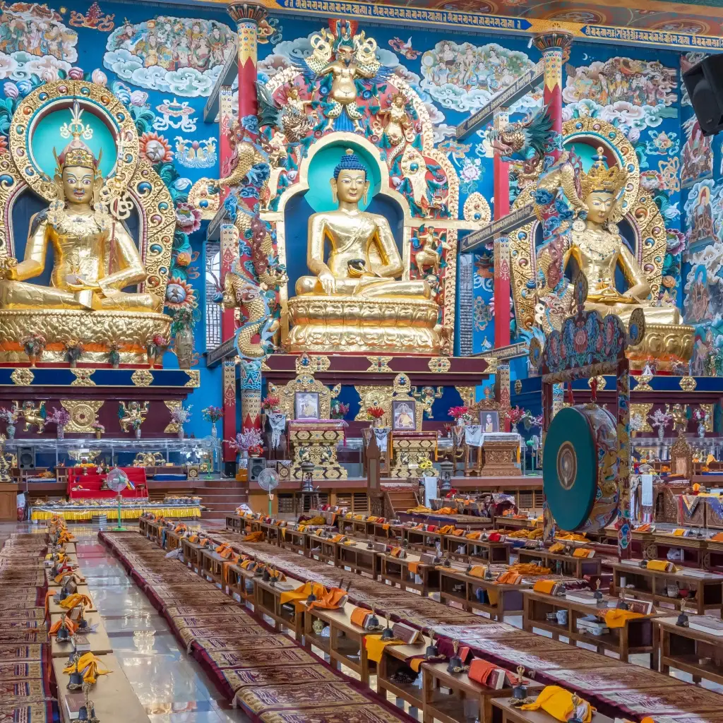 When to Visit Coorg Based on Travel Style