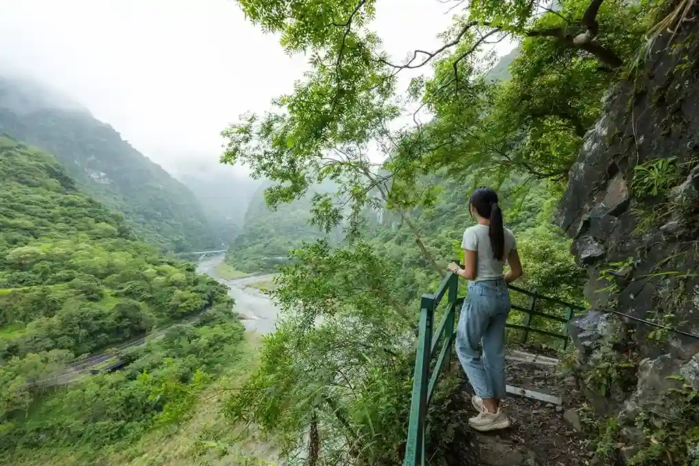 Why Visit Ziro Valley