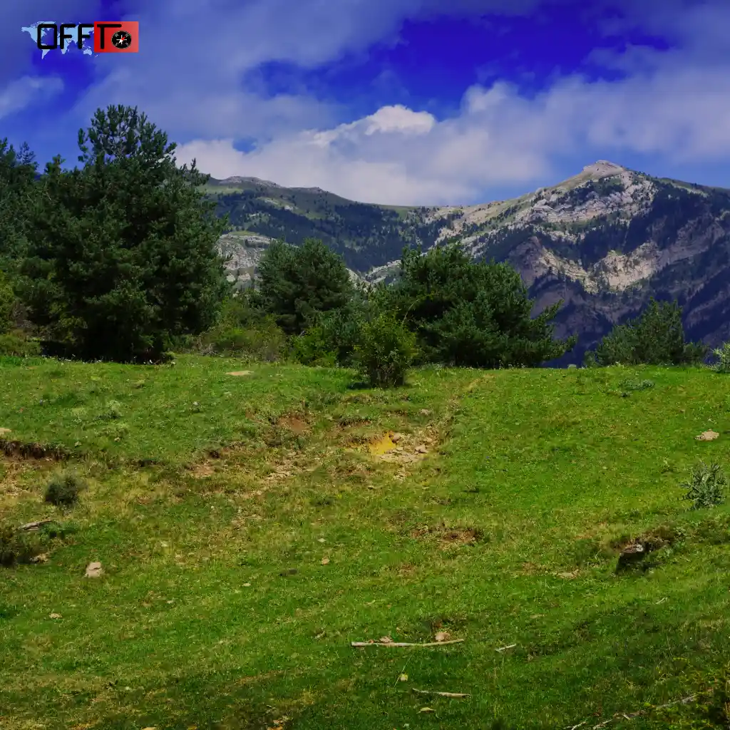 A Quick Personal Note What Neora Valley Really Feels Like