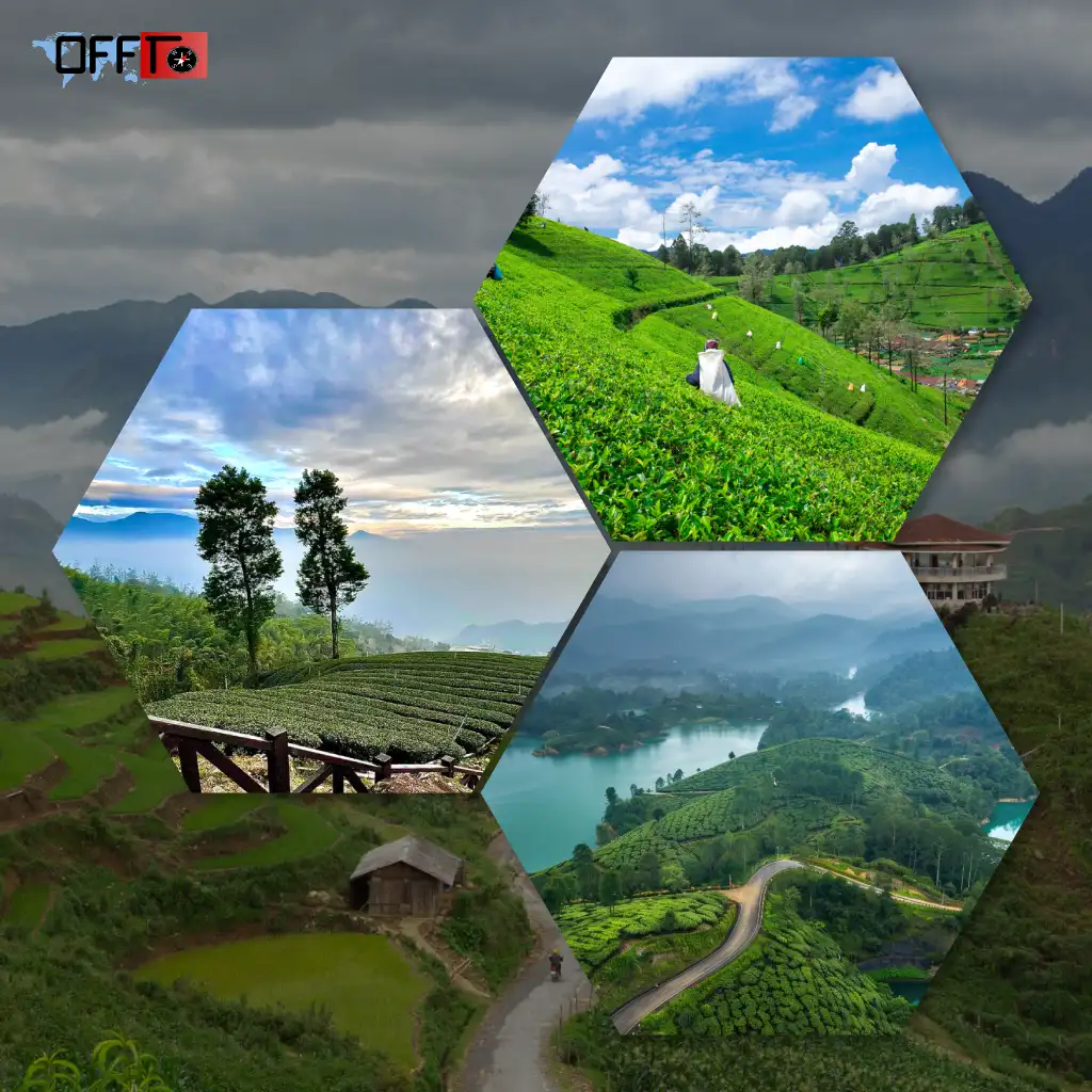 Best Places to Visit in Ooty