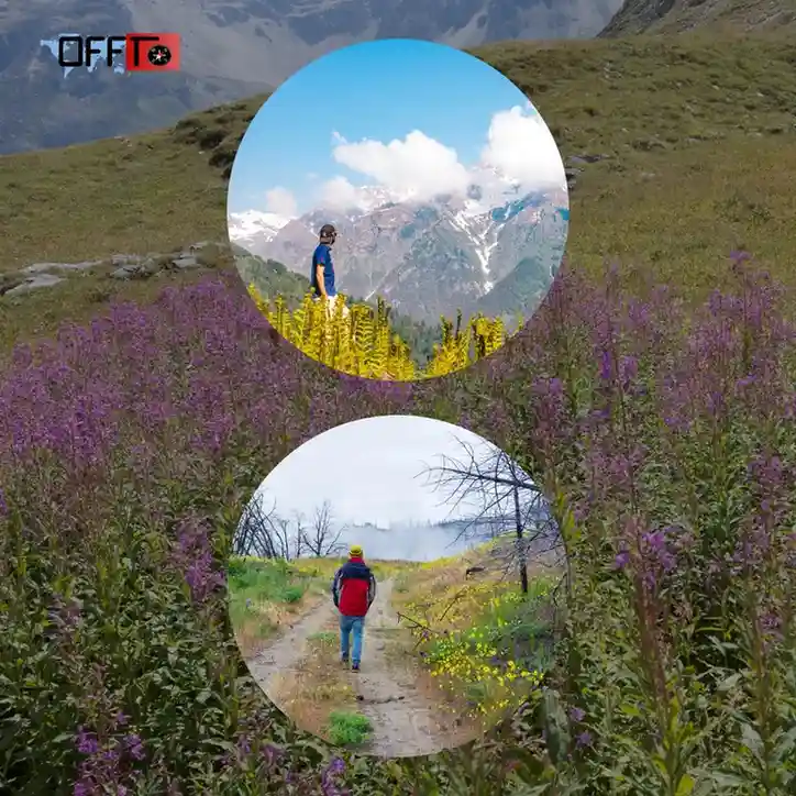 Best Time to Visit Valley of Flowers Trek