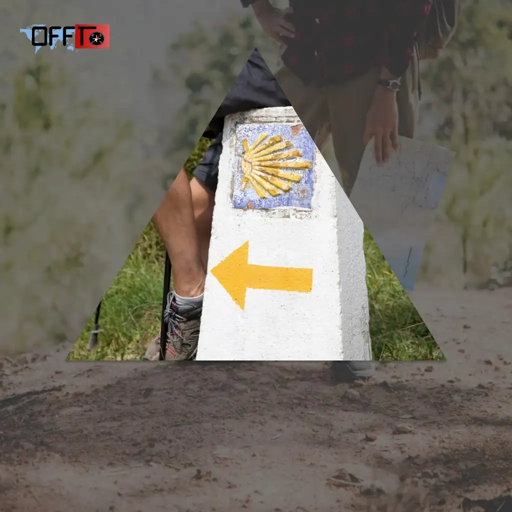 How to Reach the Triund Trek (Starting Points)