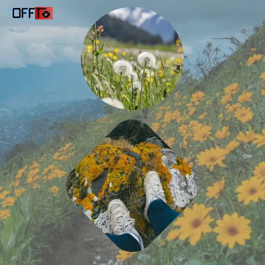 How to Reach the Valley of Flowers Trek