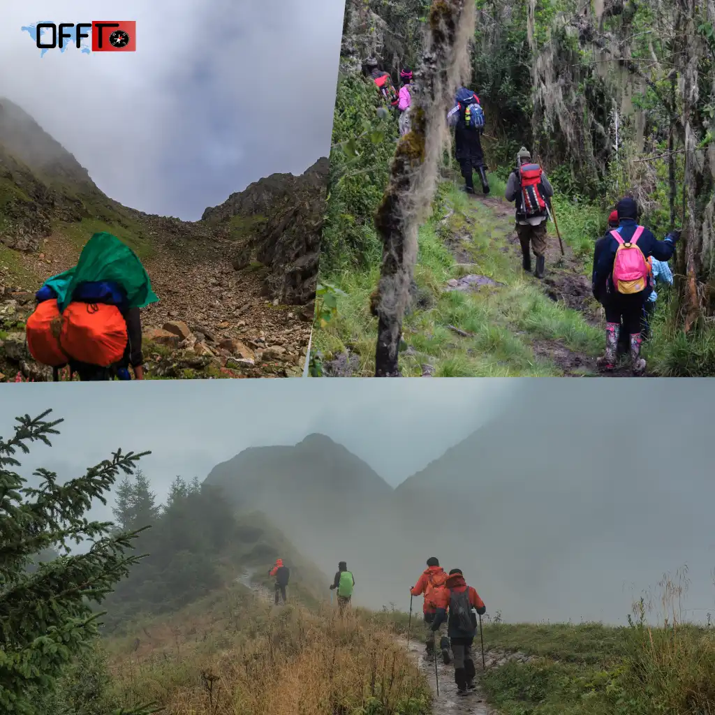 Kodachadri Trek Distance and Difficulty