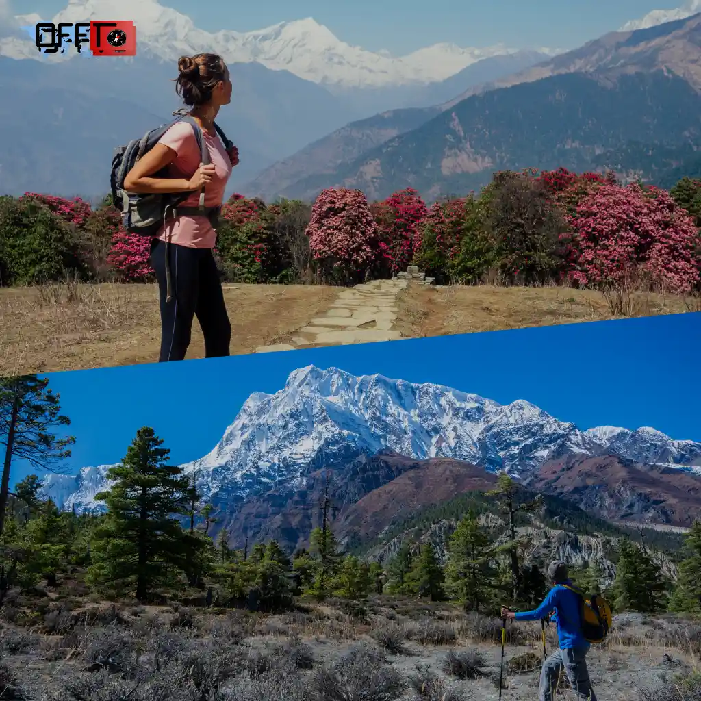 Neora Valley Trek Guide (Routes, Distance & Difficulty)