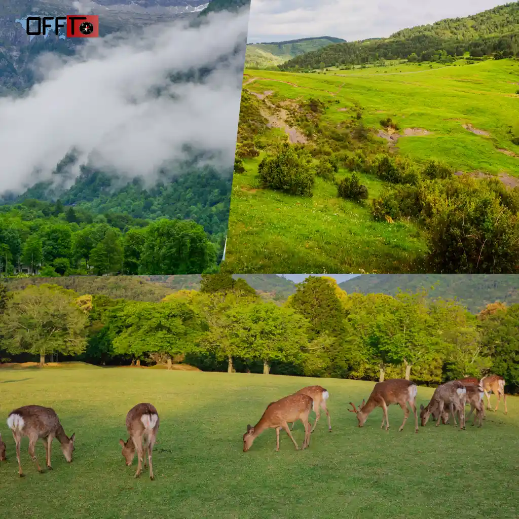 Neora Valley in a Nutshell (Why It’s Worth Visiting)