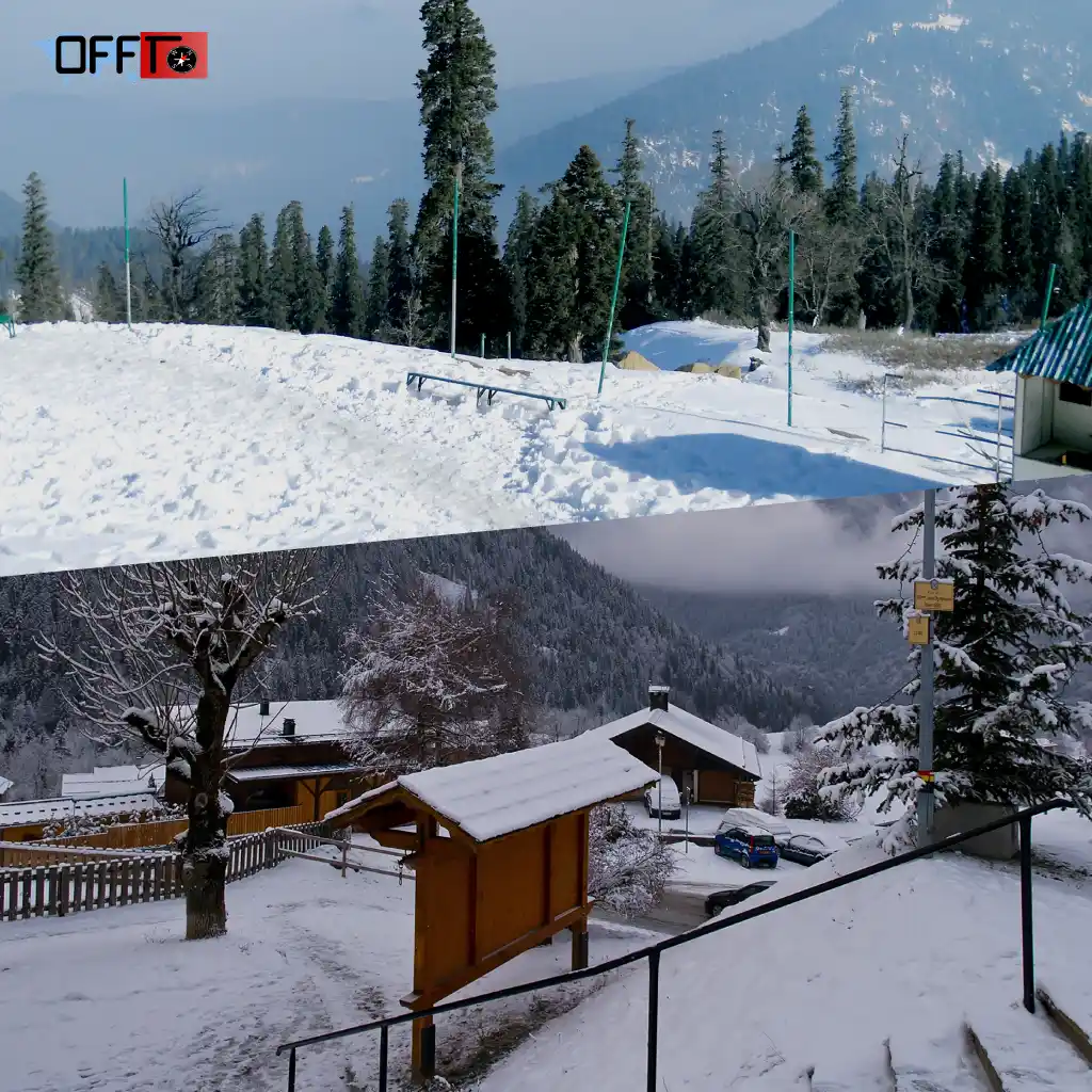 Shimla Snowfall Guide (What You Should Know)