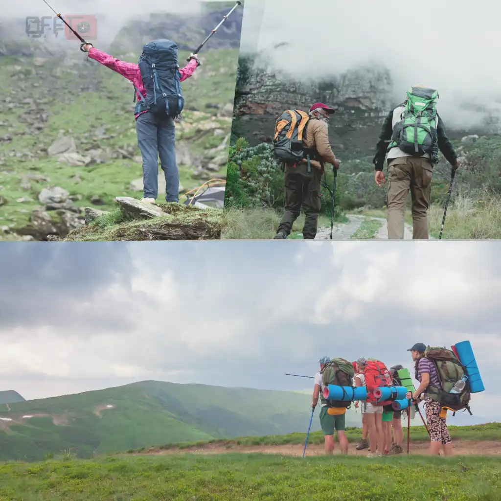 Things to Do Near Kodachadri