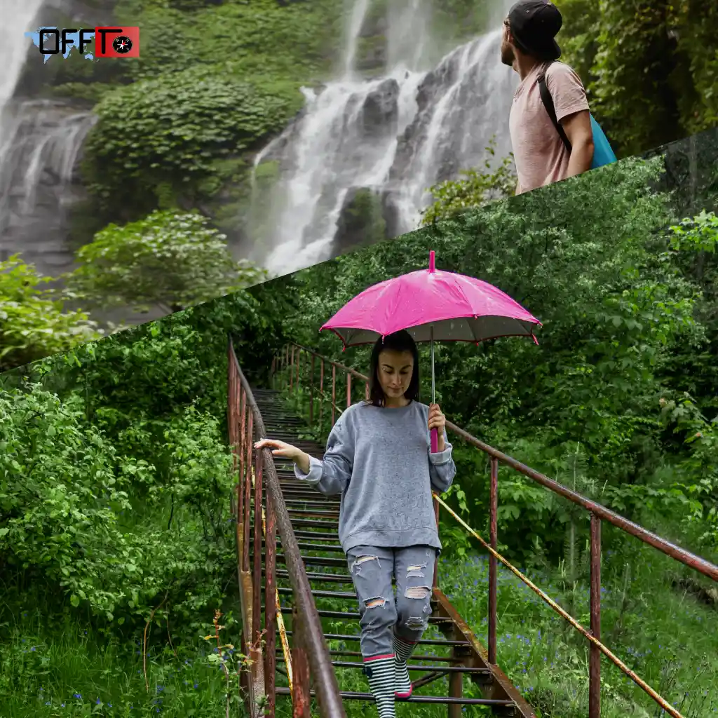 Things to Do in Meghalaya Based on Season Monsoon experiences