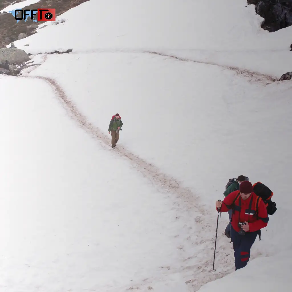 Travel Tips for Kedarkantha Trek