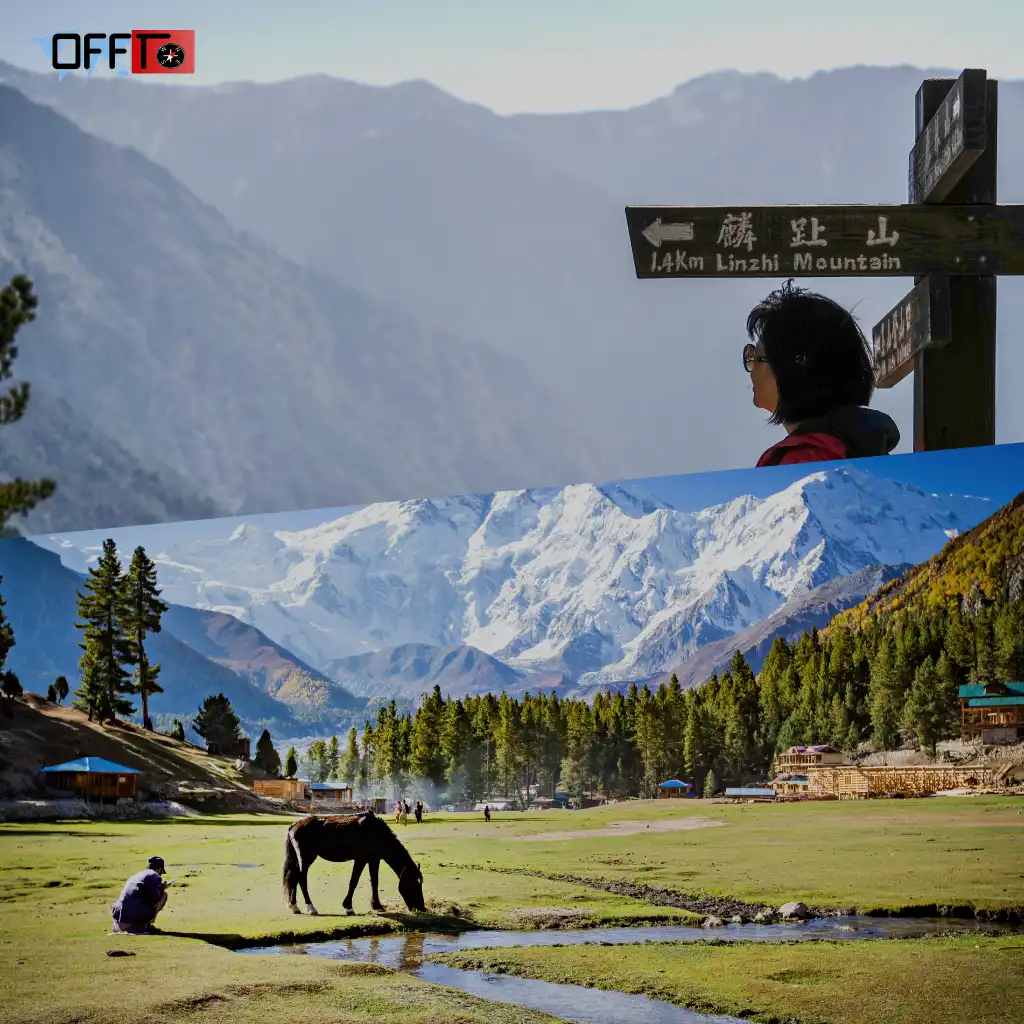 Uttarakhand Travel Guide (Planning Essentials)