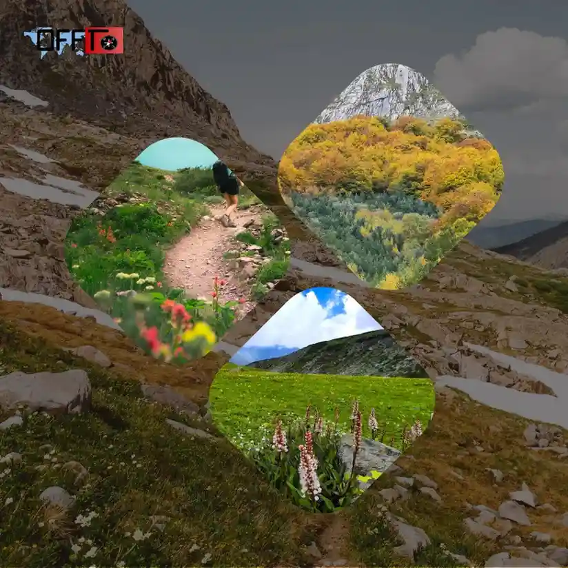 Best Time to Visit Valley of Flowers Trek