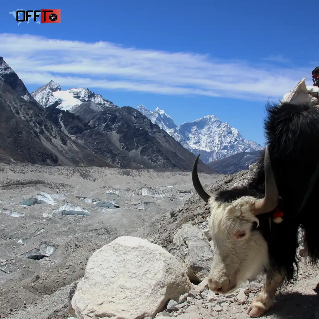 What Makes Buran Ghati Trek Unique