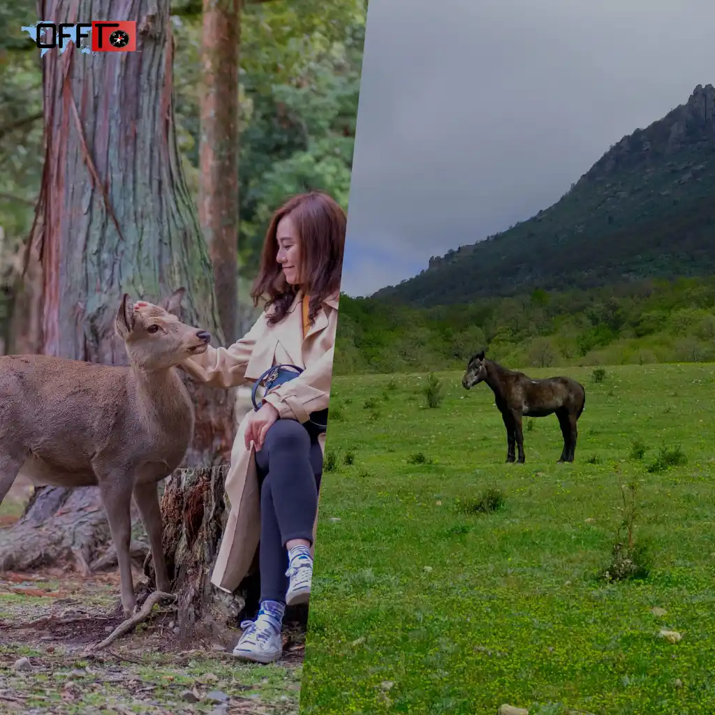 What is Neora Valley Famous For (Beyond the Basics)