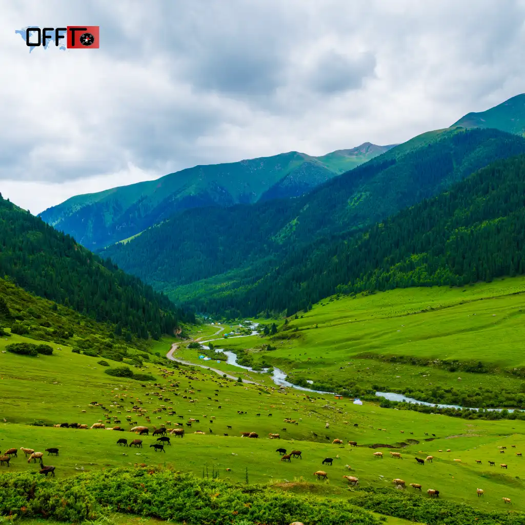 Best Hill Stations to Visit in June