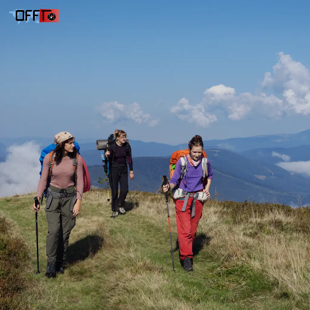 Best Time to Visit Bhutan (Based on Travel Intent)