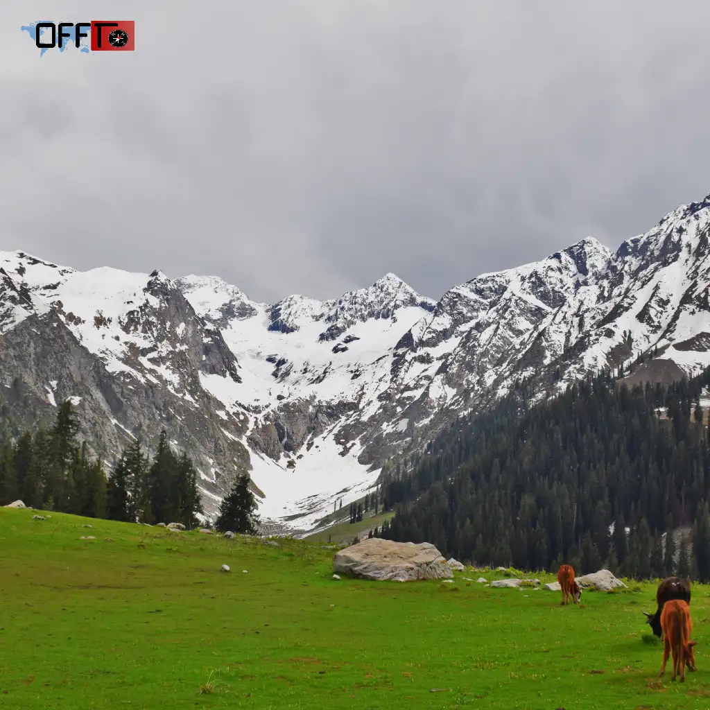 Best Time to Visit Dibang Valley (With Tradeoffs)