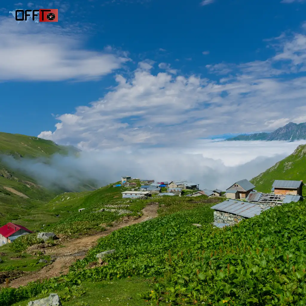 Best Time to Visit Palampur (With Travel Tradeoffs)