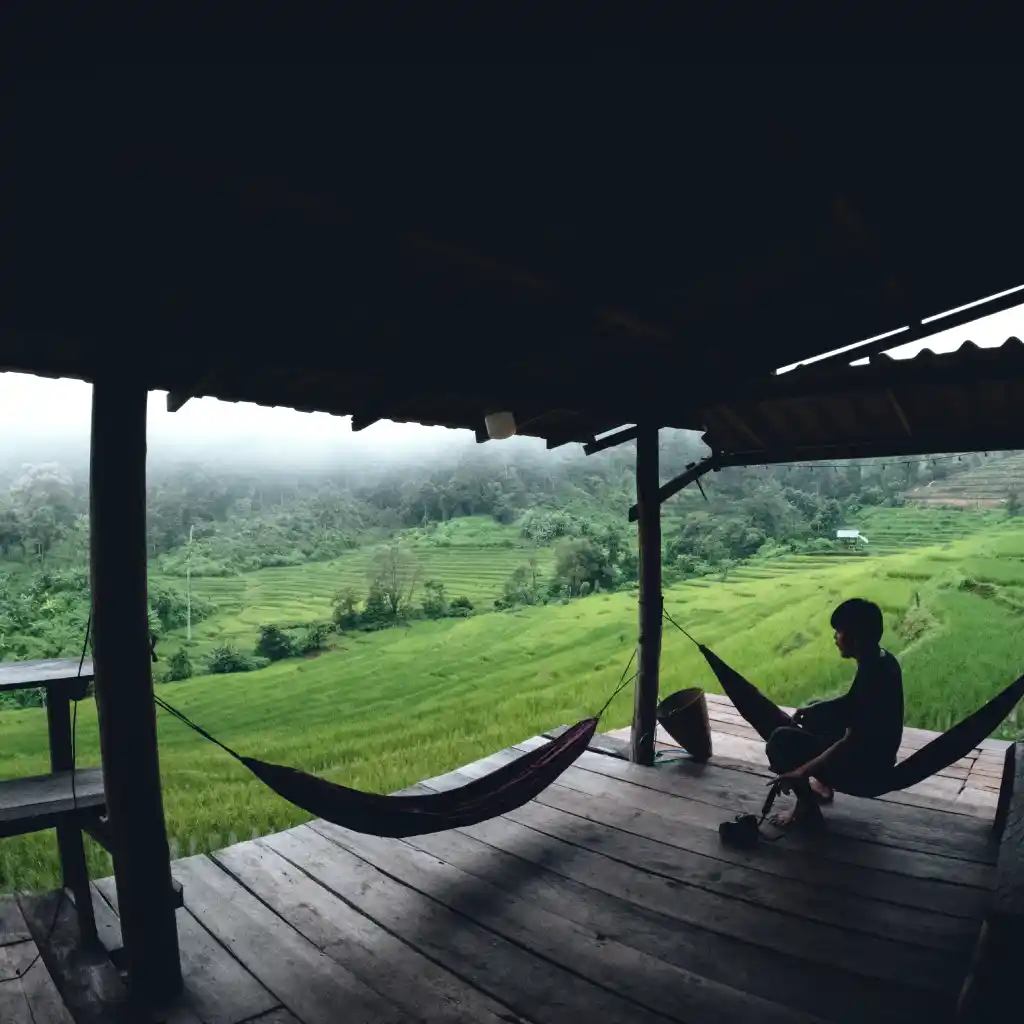 Best Time to Visit Thekkady