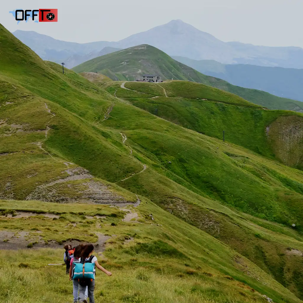 Chembra Peak Trek Overview (Distance, Height & Route)