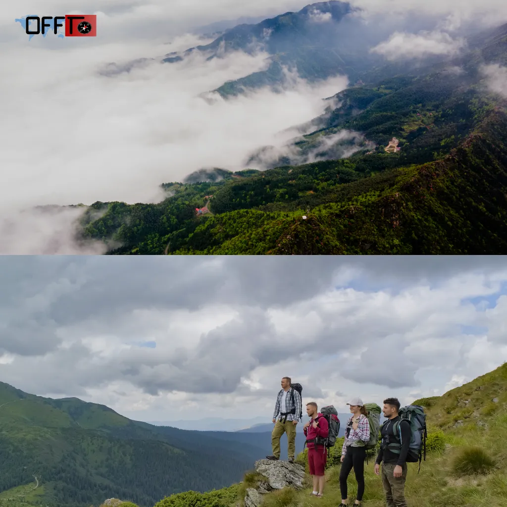 Chembra Peak Weather & Temperature Guide