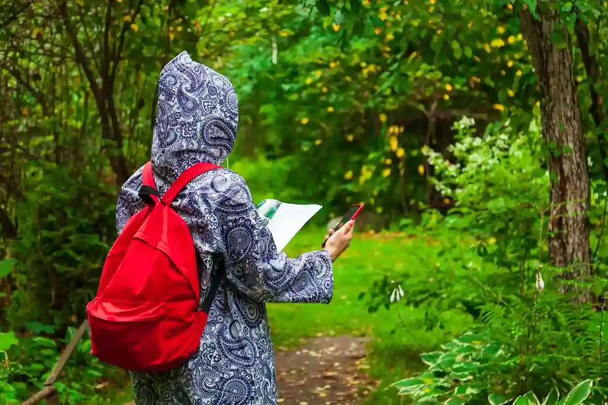 Chikmagalur Itinerary (2–3 Day Practical Plan)