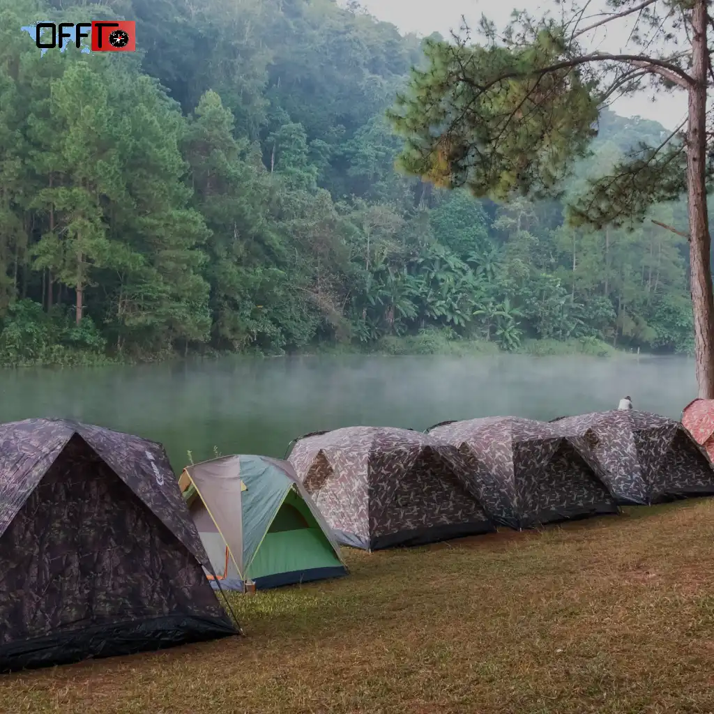 Dibang Valley Jungle Camp & Stay Options