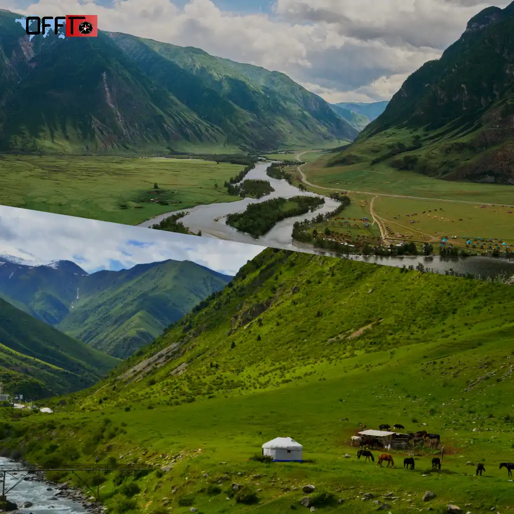 Dzukou Valley Weather and Conditions