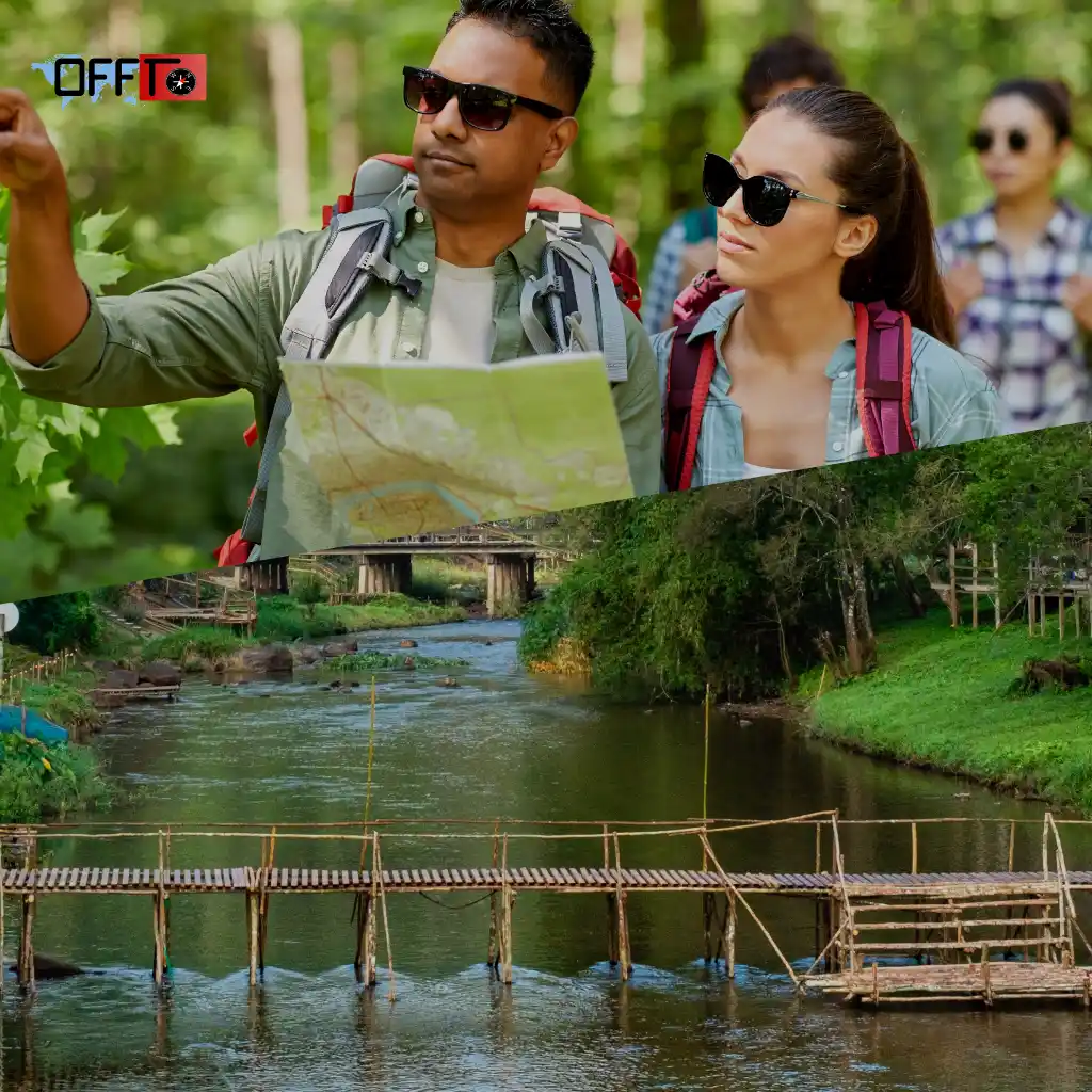 How to Plan Your Thekkady Trip (Step-by-Step Guide)