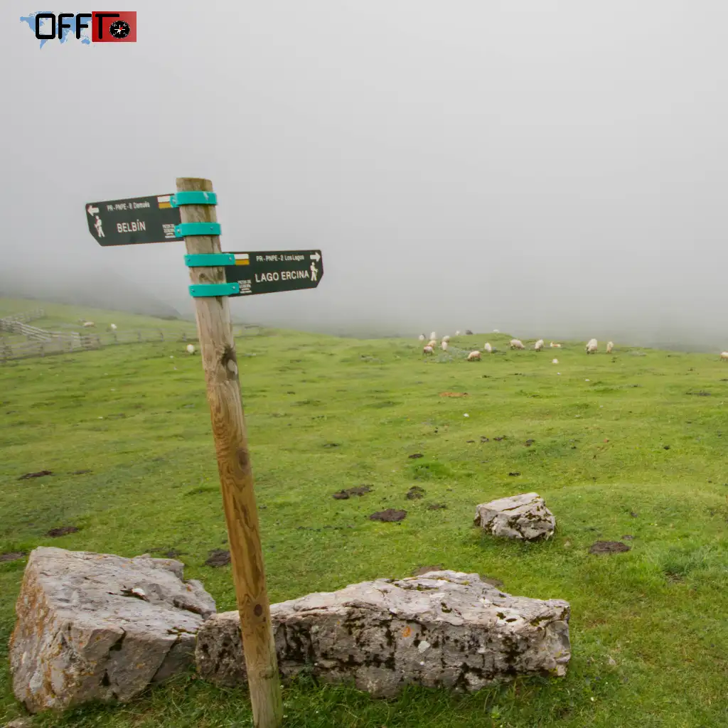 How to Reach Mashobra (Travel Guide)