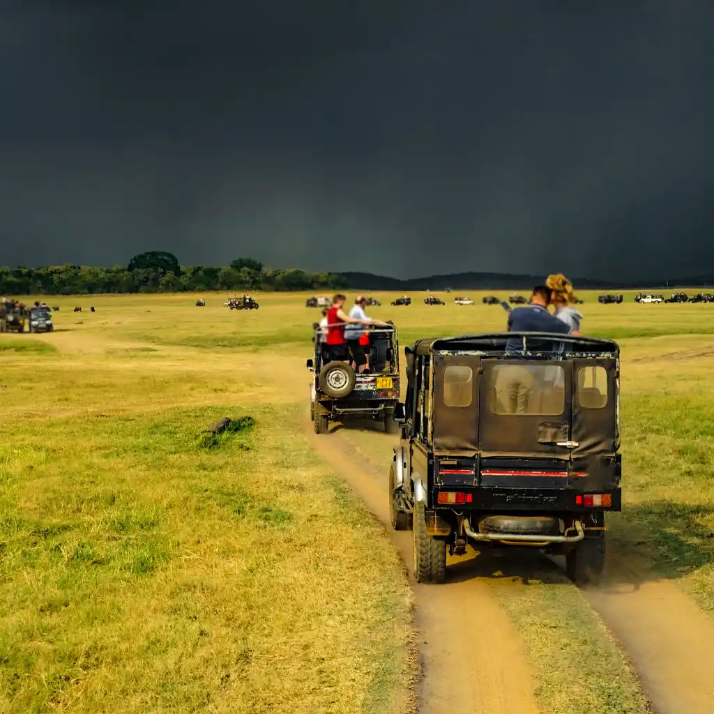 Jawai Temperature & Weather Guide