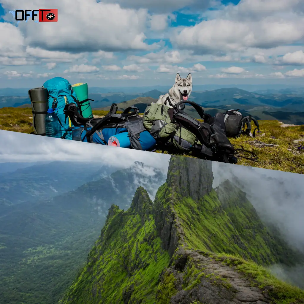 Kalavantin Durg Trek Overview (Before You Go)