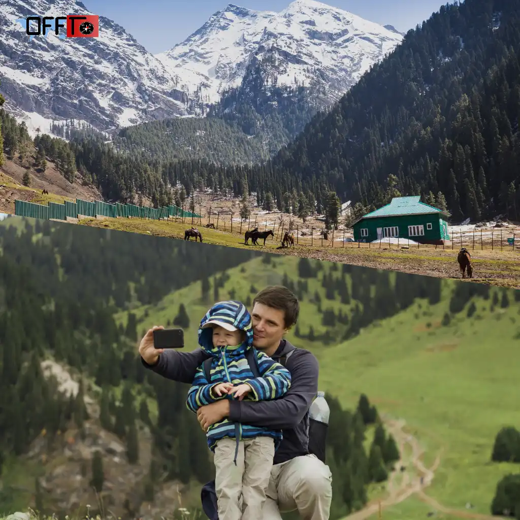 Palampur Itinerary (2–3 Day Practical Plan)