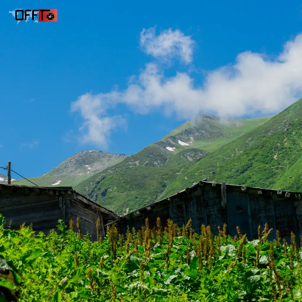 Palampur Weather & Temperature Explained