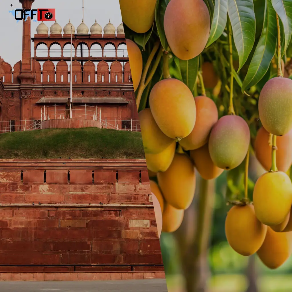 Places to Visit in Konkan (Beyond Beaches)