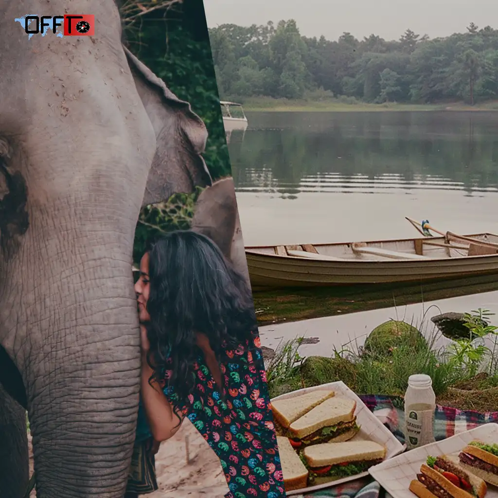 Things to Do in Tapola (Based on Travel Style)