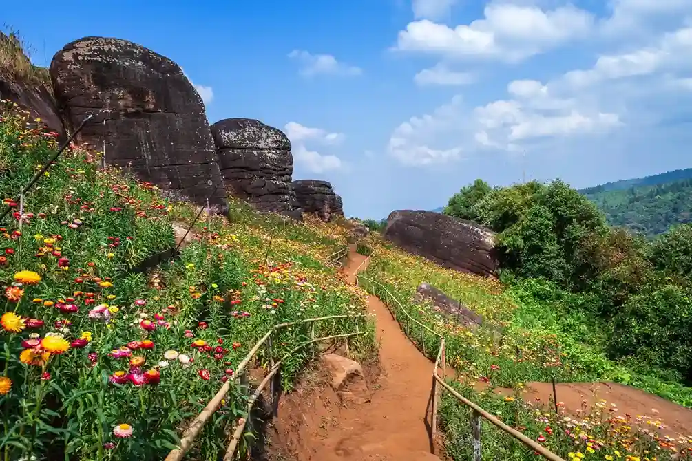 Tourist Places Near Yelagiri (Worth Extending Your Trip)