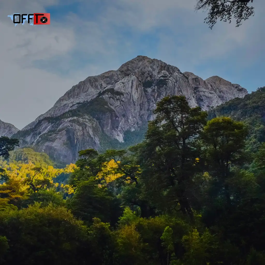 Travel Tips for Chembra Peak Trek