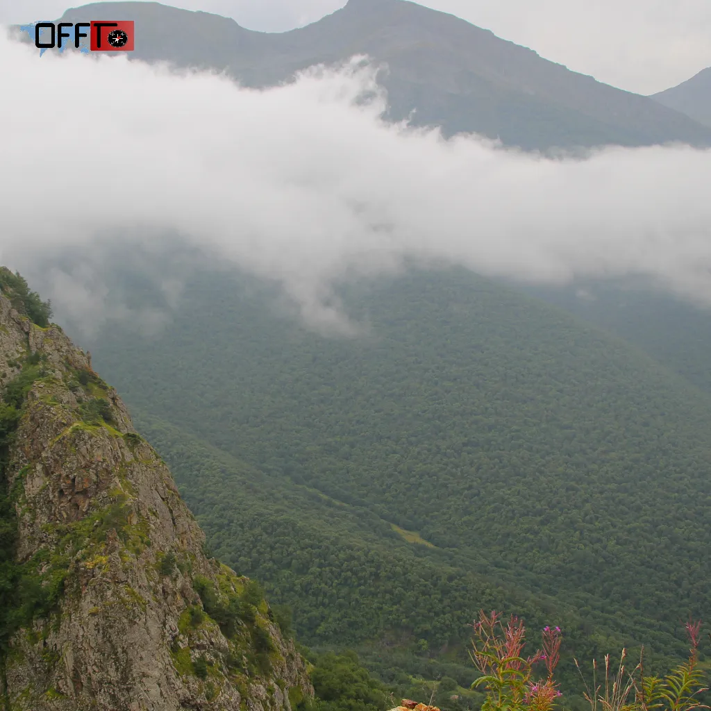 Weather & Travel Conditions Explained