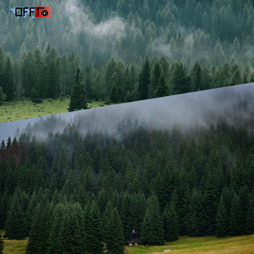 What is Mashobra Famous For (Why Visit)