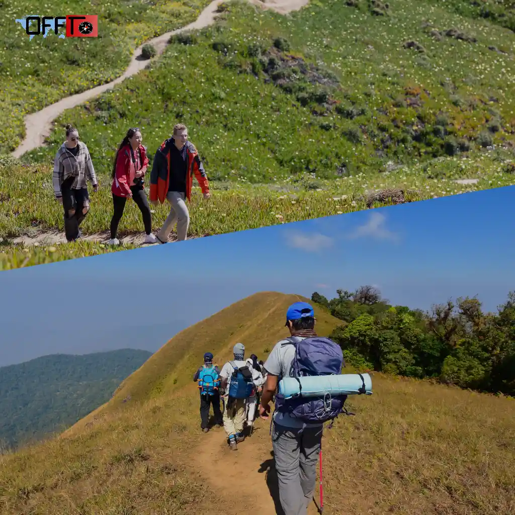 What to Expect During the Dzukou Valley Trek