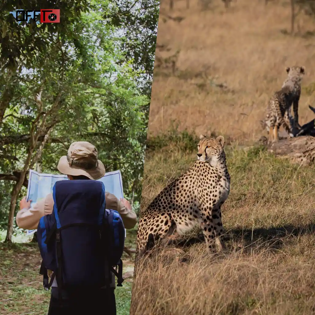 Where Is Jawai Located (Rajasthan Location & Access)