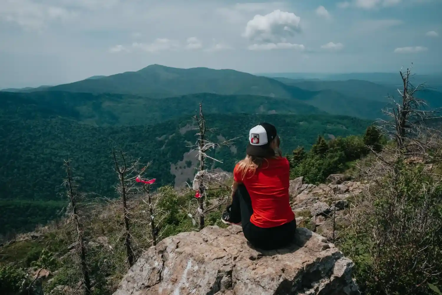 Why Visit Yelagiri (The Ultimate Hill Station Escape)