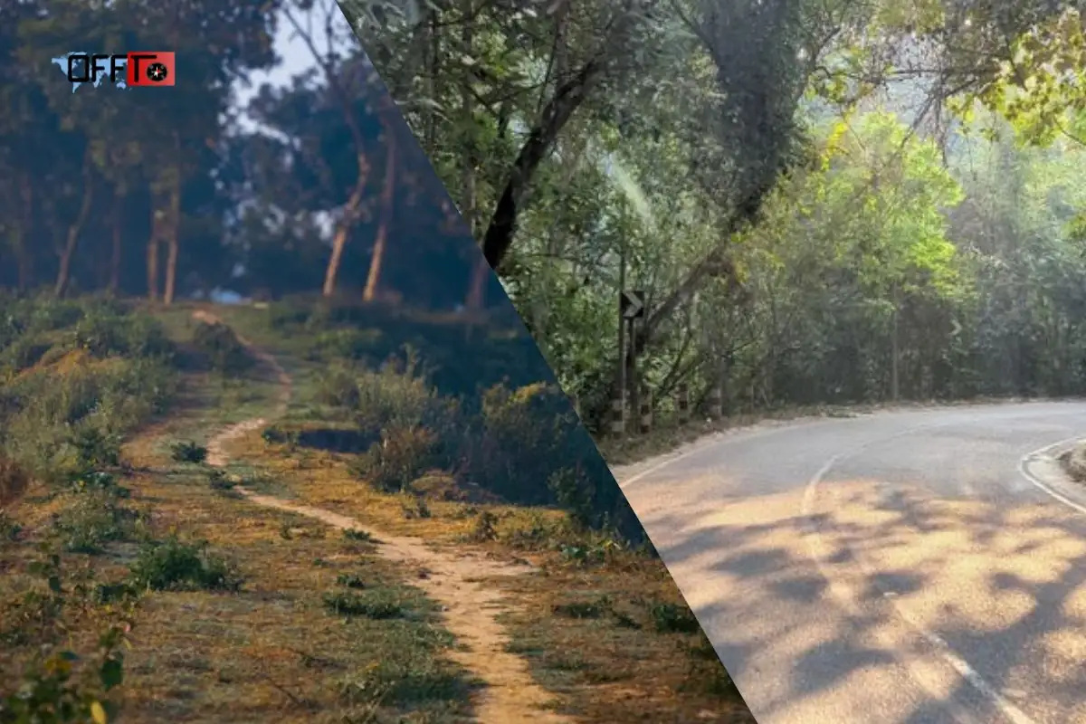 Aadrai Jungle Trail What the Route Actually Looks Like